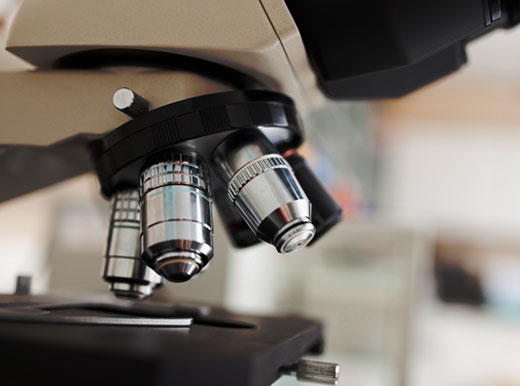 CEO 인사말 이미지1