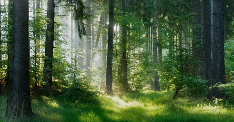 스토리 이미지1